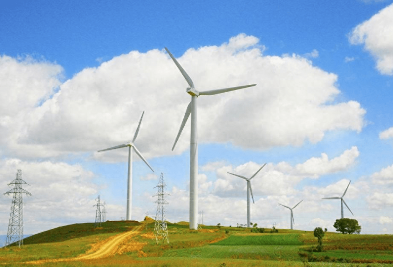 Wind power’s environmental impact: the future of green energy